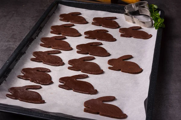 自制巧克力兔子托盘 复活节食品 — 图库照片