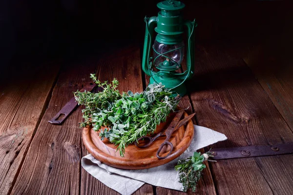 Herbal Collection Thyme Oregano Rosemary — Stock Photo, Image