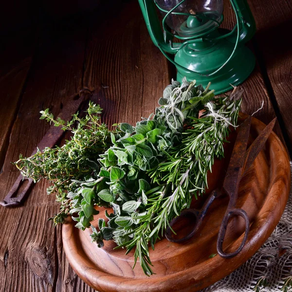 Kräuter Sammlung Von Thymian Oregano Rosmarin — Stockfoto