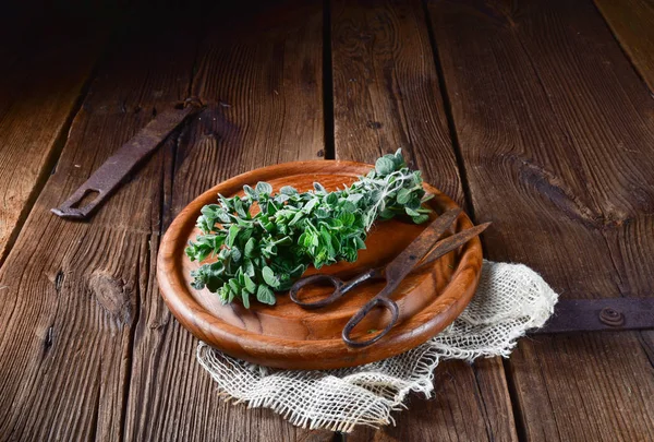 Aromatic Oregano Origanum Vulgare Wooden Board — Stock Photo, Image