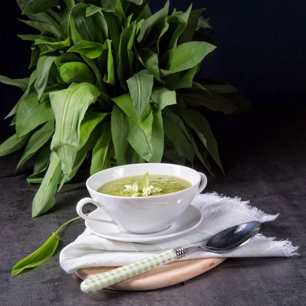 Green Wild Garlic Soup Healthy Dinner — Stock Photo, Image
