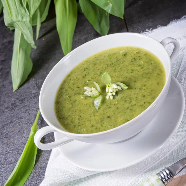 白いプレートに緑の野生ニンニク スープ — ストック写真