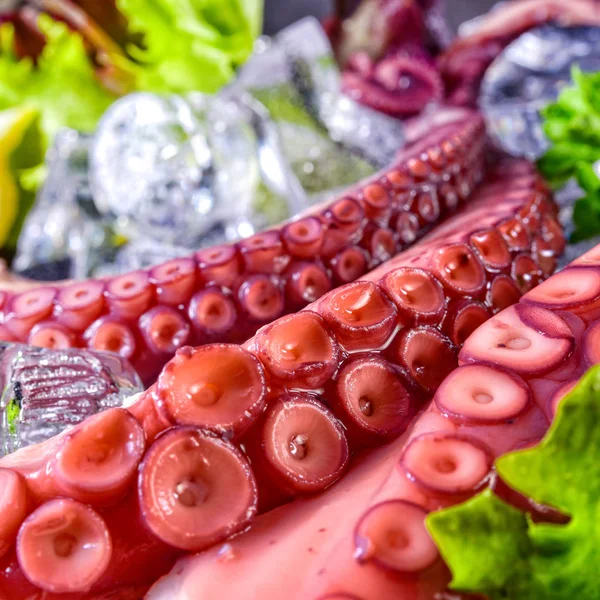 Pulpo Crudo Sobre Hielo Manjar Mariscos — Foto de Stock