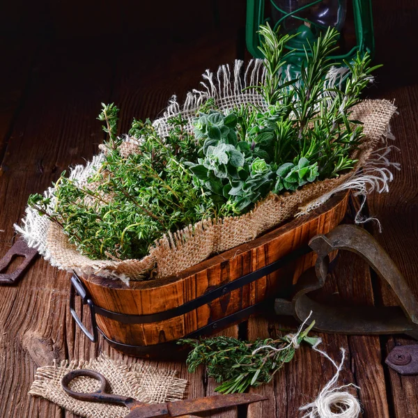 Kräuter Sammlung Von Thymian Oregano Rosmarin — Stockfoto