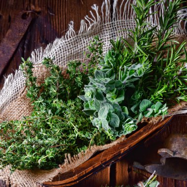 Kekik, kekik, biberiye bitki topluluğu