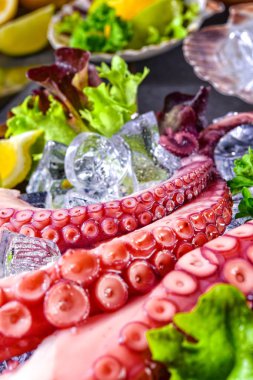 buz üzerinde ham ahtapot deniz ürünleri incelik