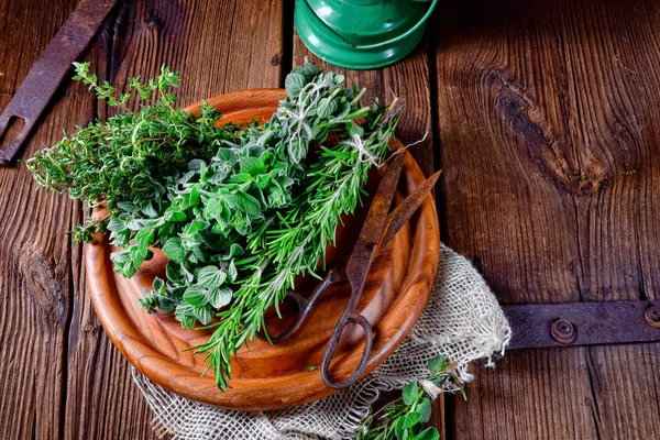 Kekik, kekik, biberiye bitki topluluğu