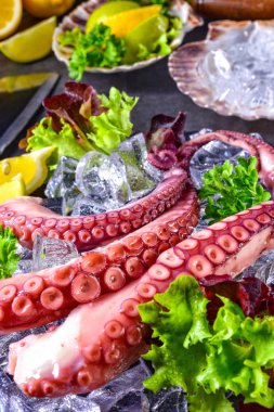 buz üzerinde ham ahtapot deniz ürünleri incelik 