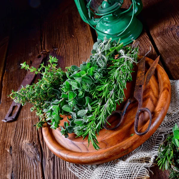 Herbal Collection Thyme Oregano Rosemary — Stock Photo, Image