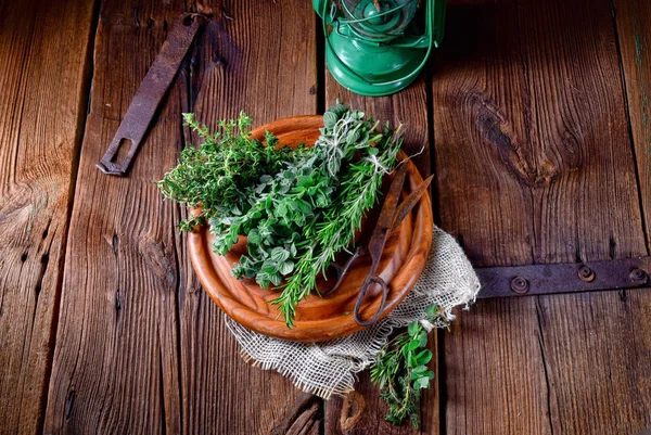 Herbal Collection Thyme Oregano Rosemary — Stock Photo, Image