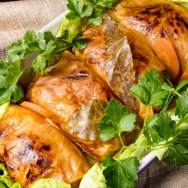 Baked Cabbage Rolls Tomato Sauce — Stock Photo, Image