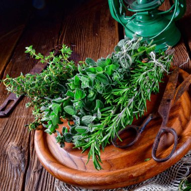 Kekik, kekik, biberiye bitki topluluğu