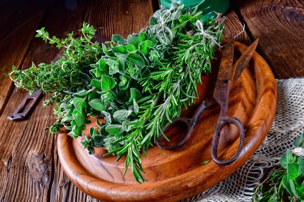 Kräuter Sammlung Von Thymian Oregano Rosmarin — Stockfoto