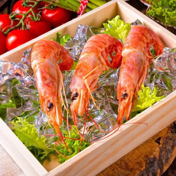 Gambas Rojas Argentinas Cocidas Con Ensalada Hielo — Foto de Stock