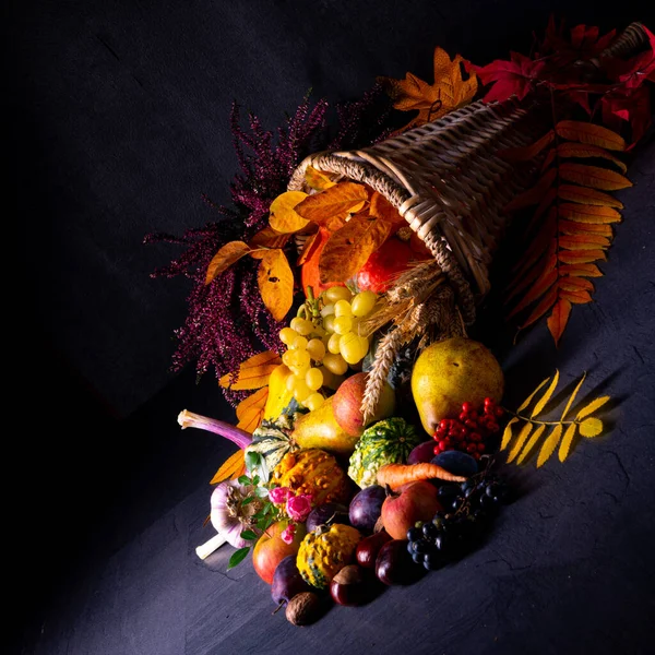 美しく秋のコーヌコピア — ストック写真