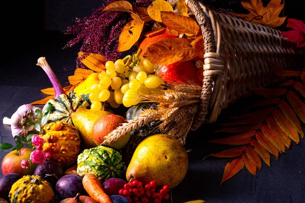 Das Schöne Und Herbstliche Füllhorn — Stockfoto