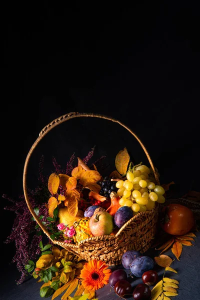 丸い籠の中の秋のコヌコピア — ストック写真
