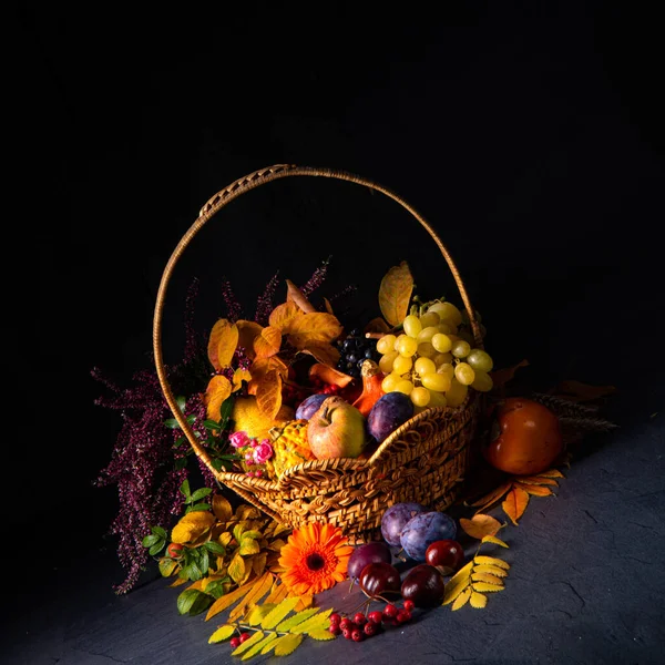 Cornucópia outonal em cesta redonda — Fotografia de Stock