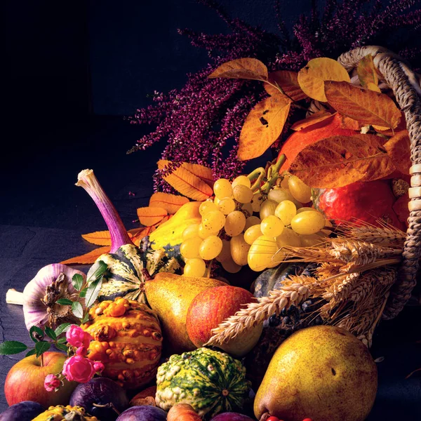 La bella e autunnale cornucopia — Foto Stock