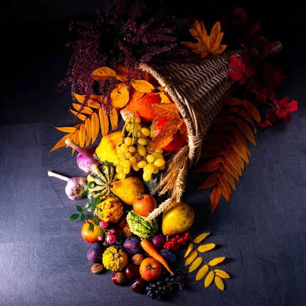 The beautiful and autumnal cornucopia — Stock Photo, Image