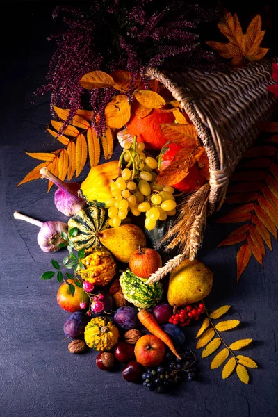 A gyönyörű és őszi cornucopia — Stock Fotó