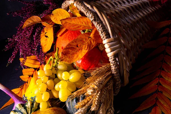 美しく秋のコーヌコピア — ストック写真