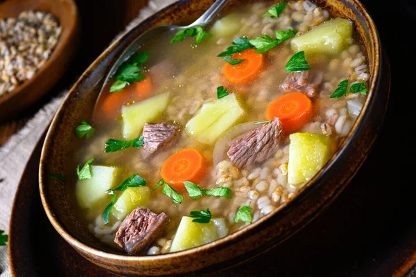 Krupnik Una Deliciosa Sopa Cebada Polaca — Foto de Stock