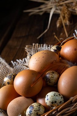 Çiftlikten taze yumurtalar. Sepette.