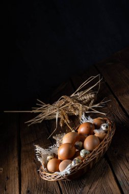 Çiftlikten taze yumurtalar. Sepette.