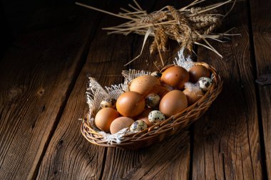 Çiftlikten taze yumurtalar. Sepette.