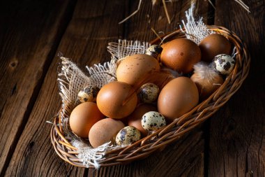 Çiftlikten taze yumurtalar. Sepette.