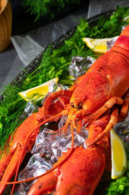 Buzda pişmiş ıstakoz.