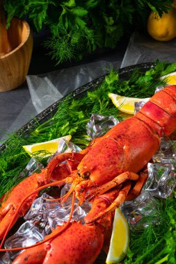 Buzda pişmiş ıstakoz.