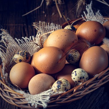 Çiftlikten taze yumurtalar. Sepette.