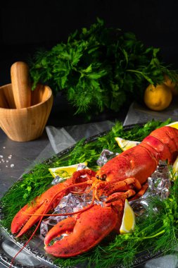 Buzda pişmiş ıstakoz.