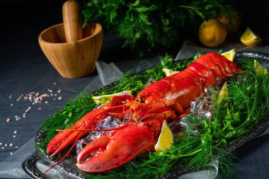 Buzda pişmiş ıstakoz.