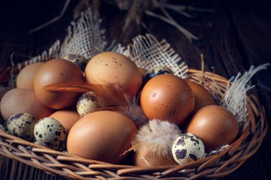 Çiftlikten taze yumurtalar. Sepette.