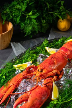 Buzda pişmiş ıstakoz.