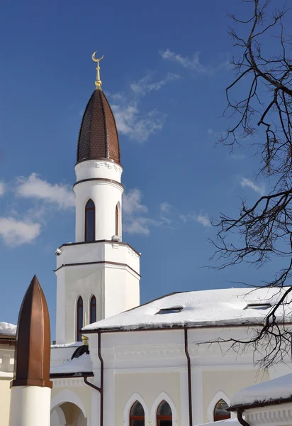 La mezquita en invierno. La ciudad de Yaroslavl . — Foto de Stock