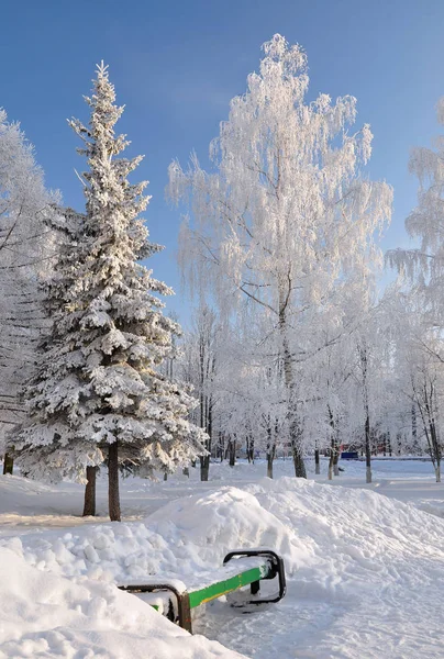 Parco cittadino in inverno. — Foto Stock