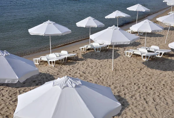 Strand parasols en ligstoelen — Stockfoto