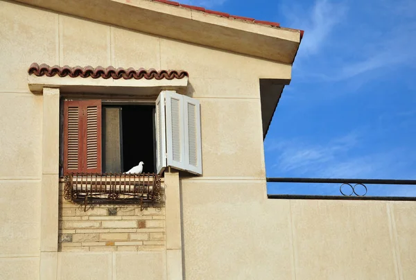 A pomba branca no parapeito da janela . Fotografia De Stock