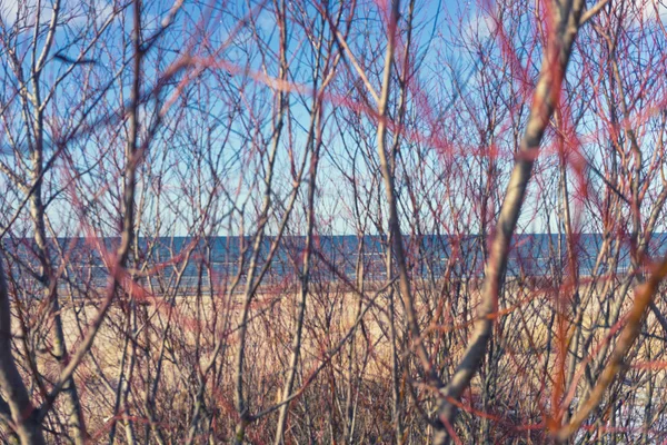 Horizonte do mar Báltico na primavera — Fotografia de Stock