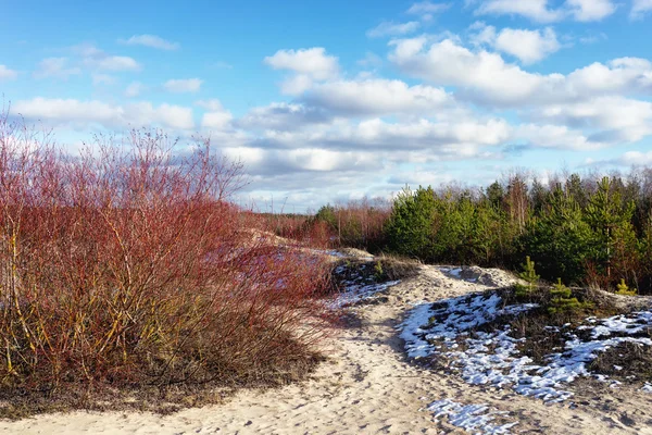 Dune di sabbia all'inizio della primavera — Foto Stock