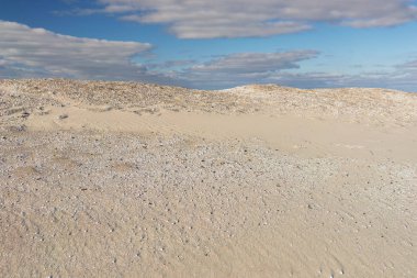 Kum tepeleri ile deniz kabukları