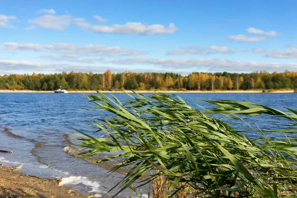 Wind on the banks of the river in autumn — Stock Photo, Image