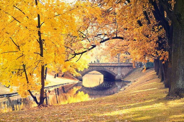 Městský park na podzim — Stock fotografie