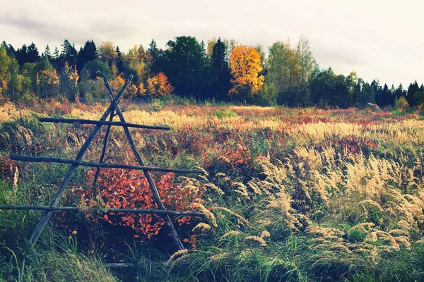 Un campo d'erba in autunno — Foto Stock