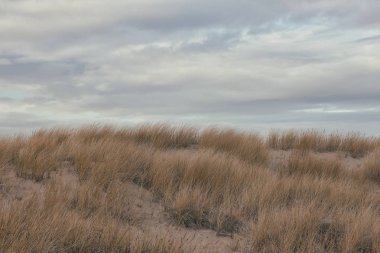 Kum tepeleri ve gökyüzü, gece