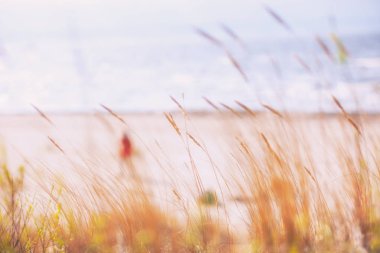 Baharda sahilde yürüyüş